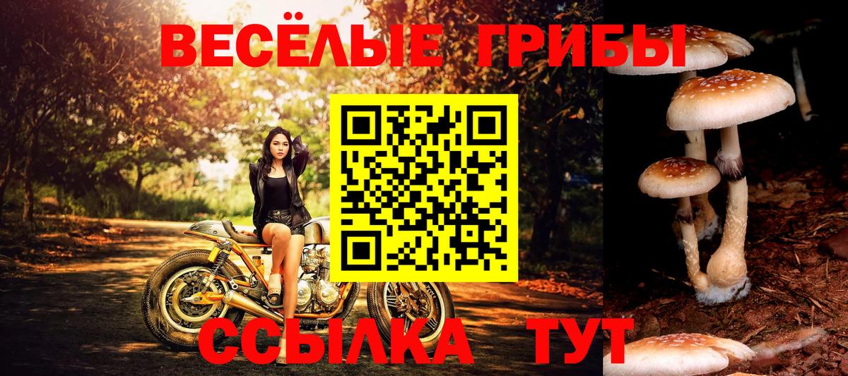 Галлюциногенные грибы ЛСД  Вход с VPN  Галлюциногенные грибы прущие грибы  Гусиноозёрск 