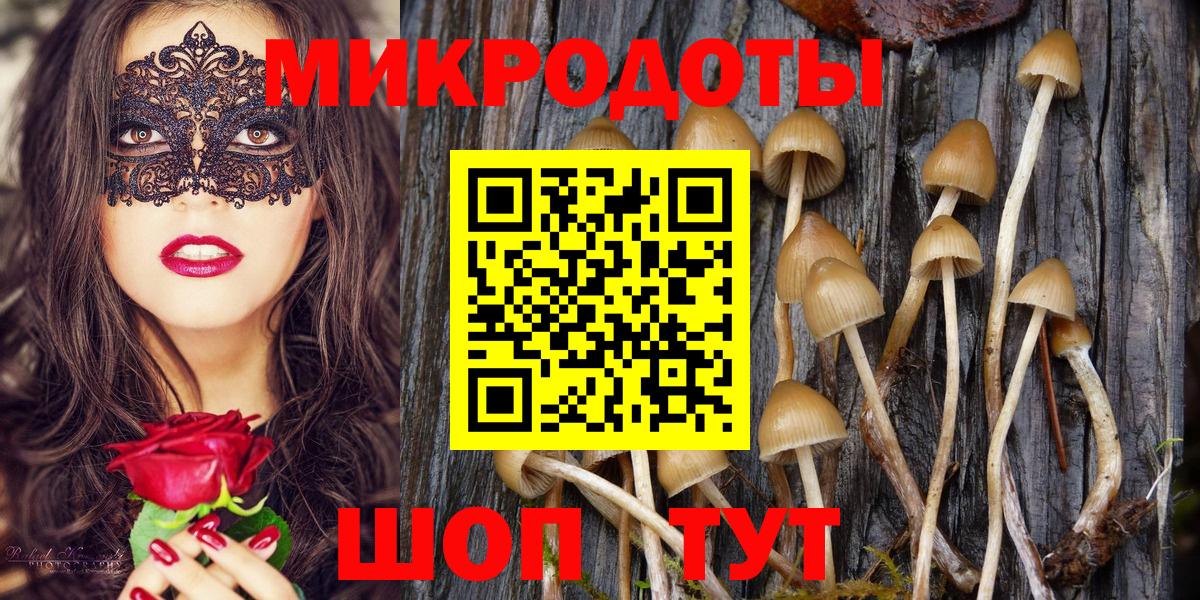 Alpha PVP Гусиноозёрск