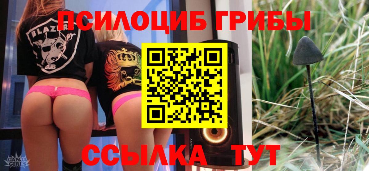 Псилоцибиновые грибы MAGIC MUSHROOMS Гусиноозёрск